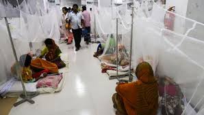 Highest dengue cases of the year on October 25th