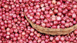 Unstable onion market again, price crosses 100 taka