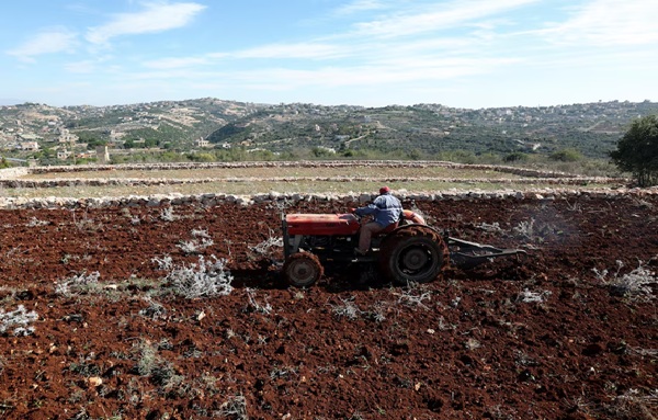 Israeli Attacks Damage 22% of Lebanon’s Crops, Agriculture Ministry Reports